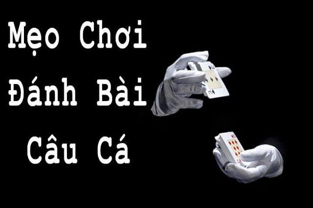 Cách đánh bài Câu Cá thắng lớn